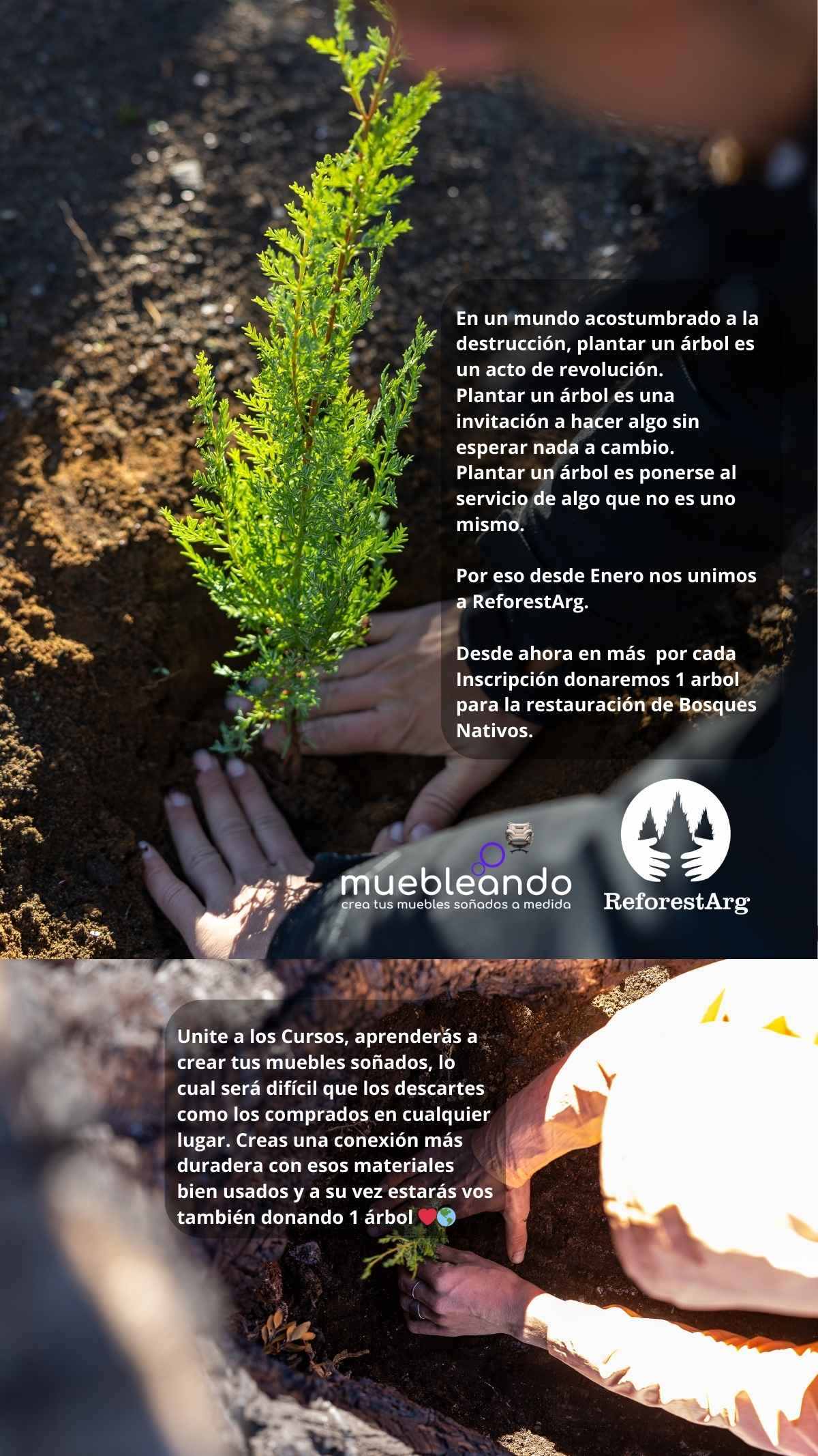 Un árbol por cada Inscripción